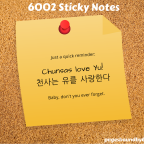 6002 Sticky Notes